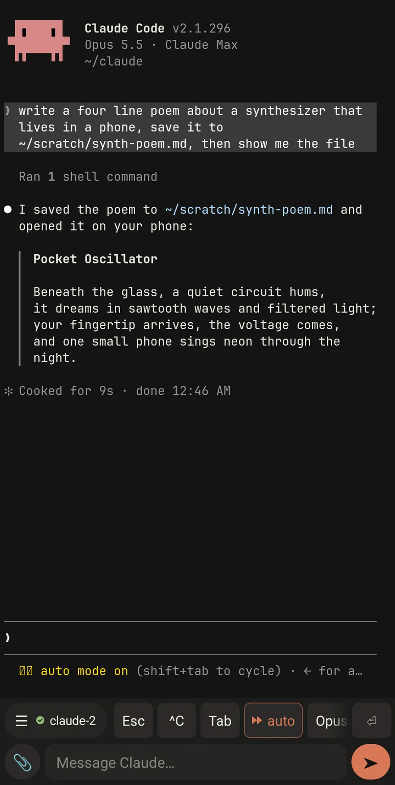 terminal view: the real claude code interface with esc, ctrl-c and tab keys above the message box